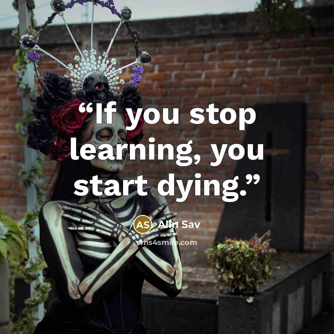 “If you stop learning, you start dying.” quote by Alin Sav