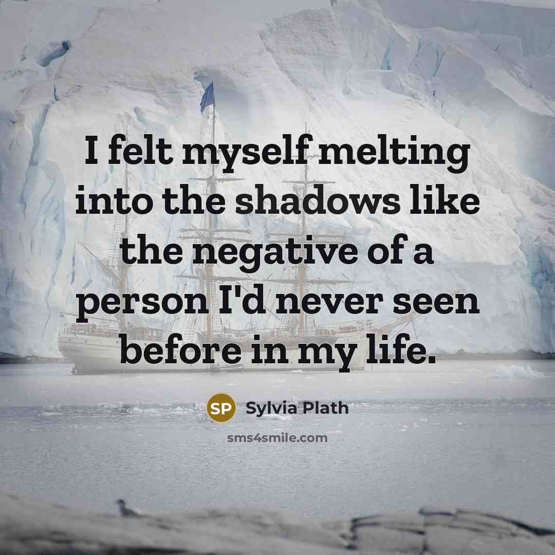 “I felt myself melting into the shadows like the negative of a person I'd never seen before in my life.” quote by Sylvia Plath