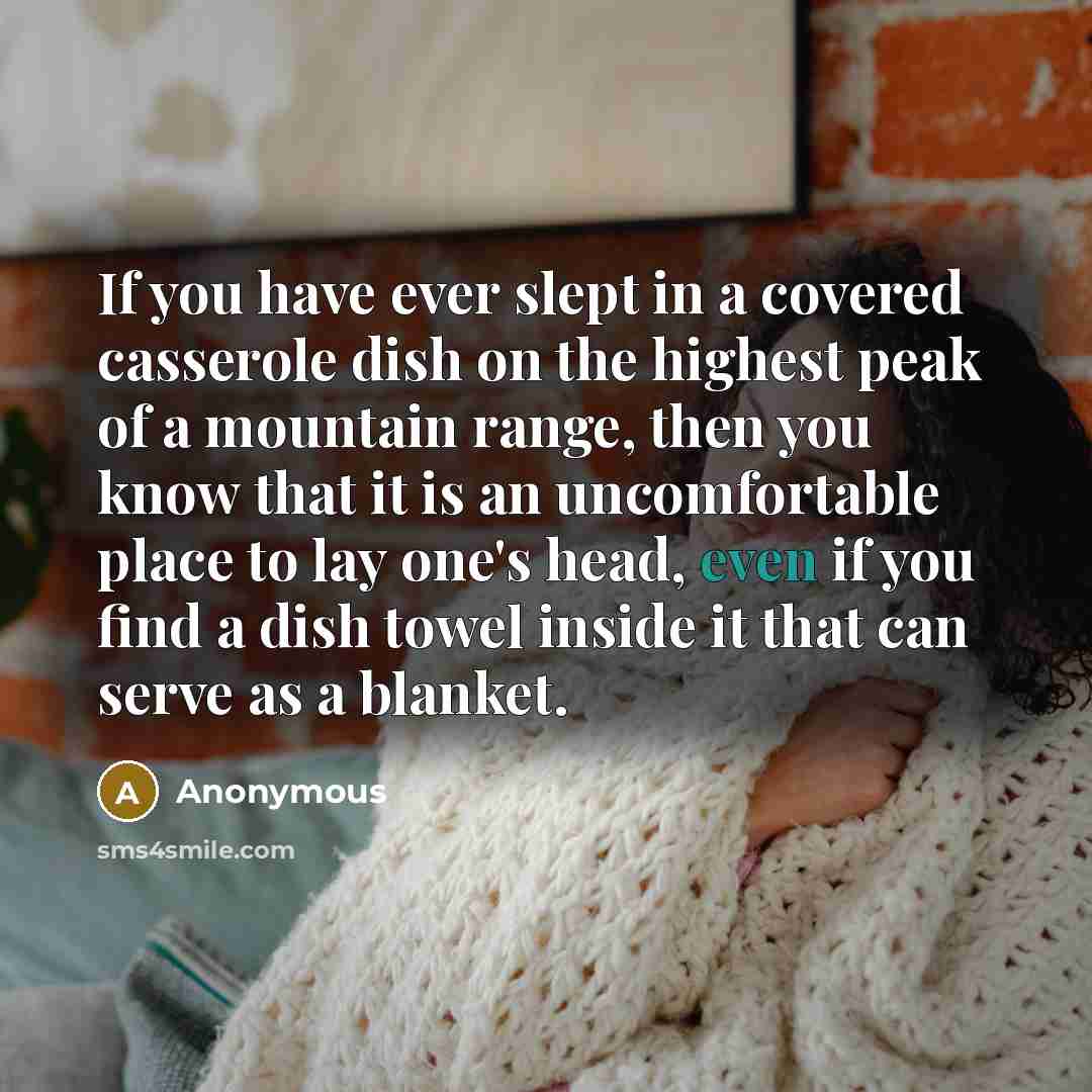 “If you have ever slept in a covered casserole dish on the highest peak of a mountain range, then you know that it is an uncomfortable place to lay one's head, even if you find a dish towel inside it that can serve as a blanket.” quote by Anonymous