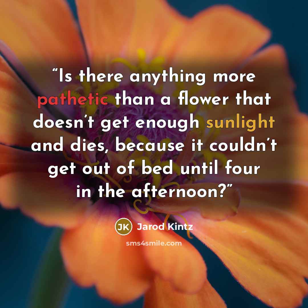 “Is there anything more pathetic than a flower that doesn’t get enough sunlight and dies, because it couldn’t get out of bed until four in the afternoon?” quote by Jarod Kintz