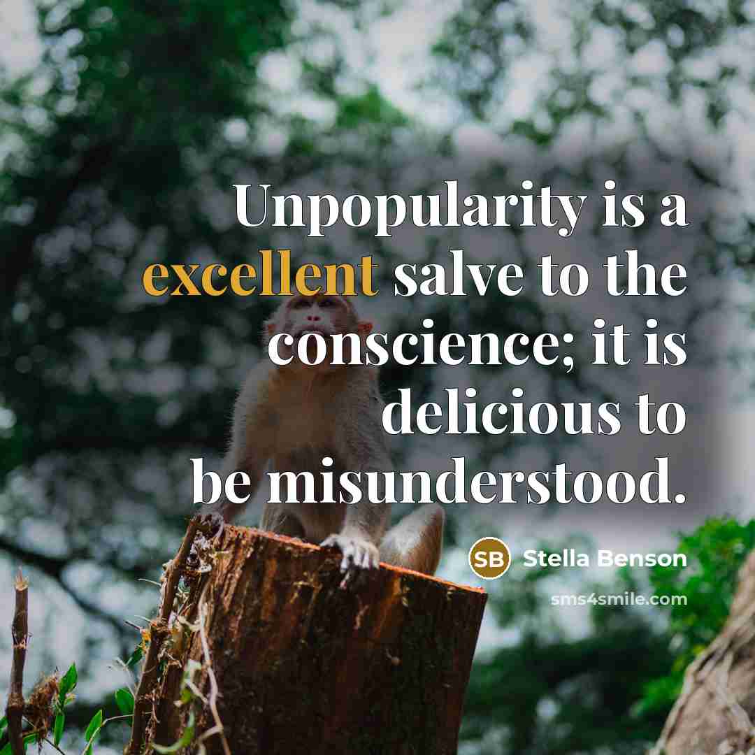 “Unpopularity is a excellent salve to the conscience; it is delicious to be misunderstood.” quote by Stella Benson