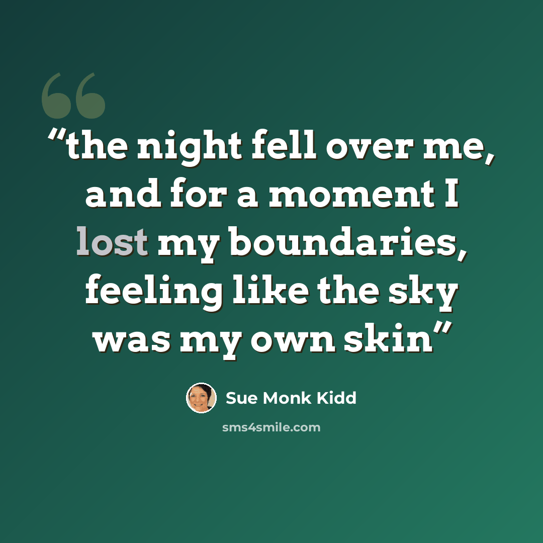 “the night fell over me, and for a moment I lost my boundaries, feeling like the sky was my own skin” quote by Sue Monk Kidd