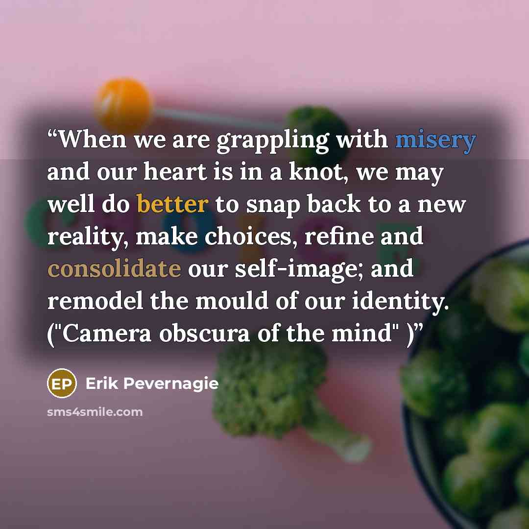 “When we are grappling with misery and our heart is in a knot, we may well do better to snap back to a new reality, make choices, refine and consolidate our self-image; and remodel the mould of our identity. ("Camera obscura of the mind" )” quote by Erik Pevernagie