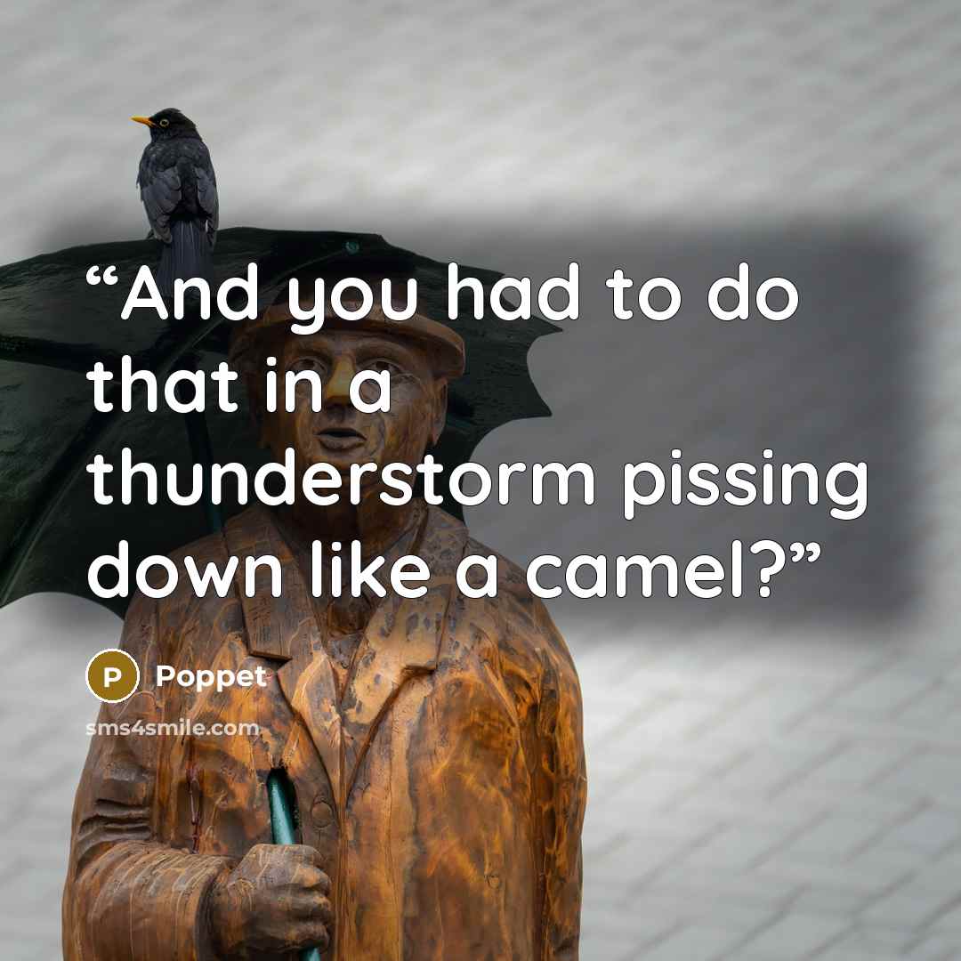 “And you had to do that in a thunderstorm pissing down like a camel?” quote by Poppet