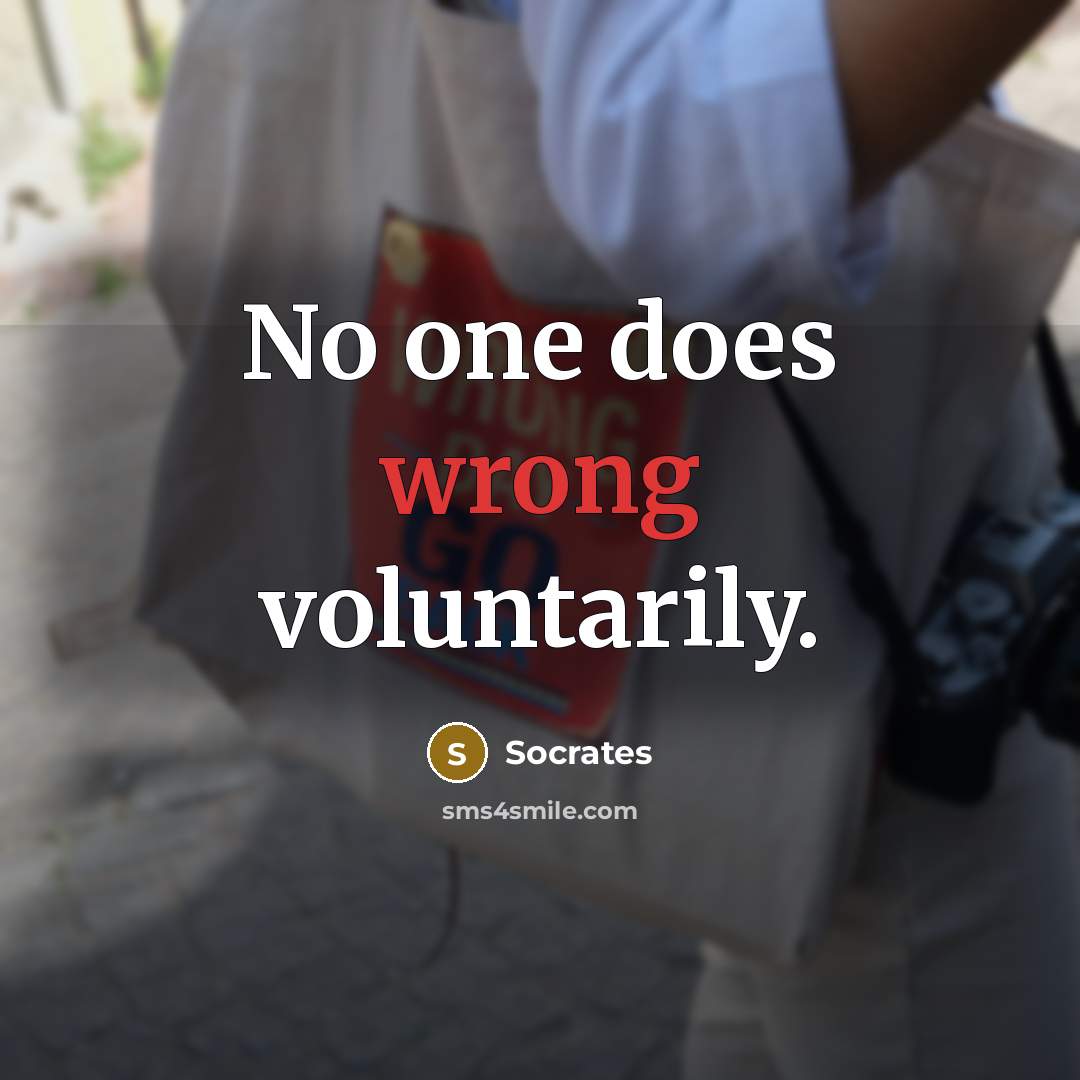 “No one does wrong voluntarily.” quote by Socrates