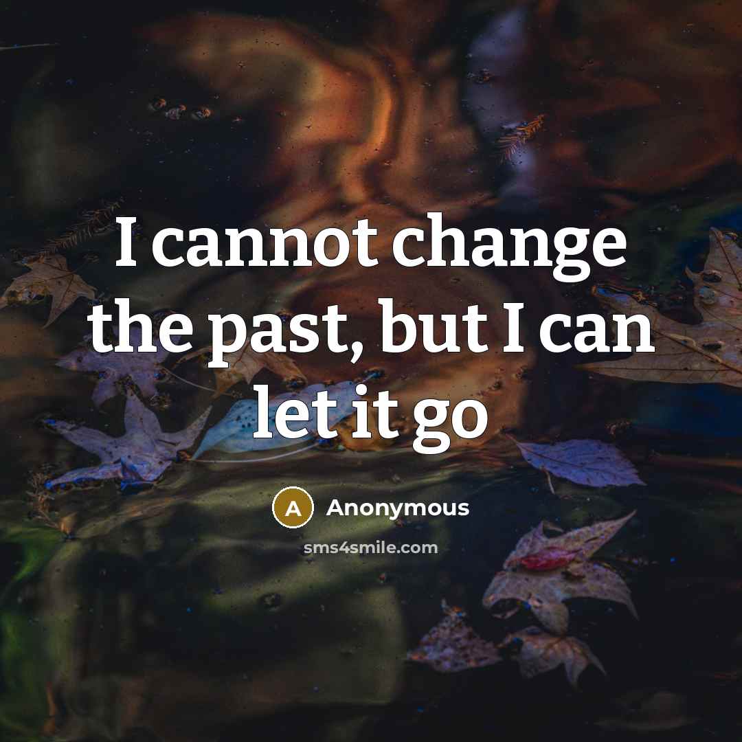 “I cannot change the past, but I can let it go” quote by Anonymous