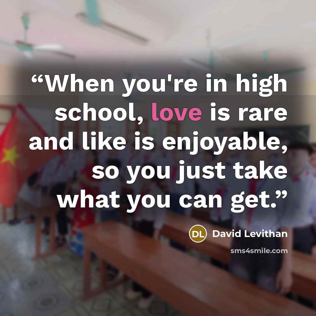 “When you're in high school, love is rare and like is enjoyable, so you just take what you can get.” quote by David Levithan