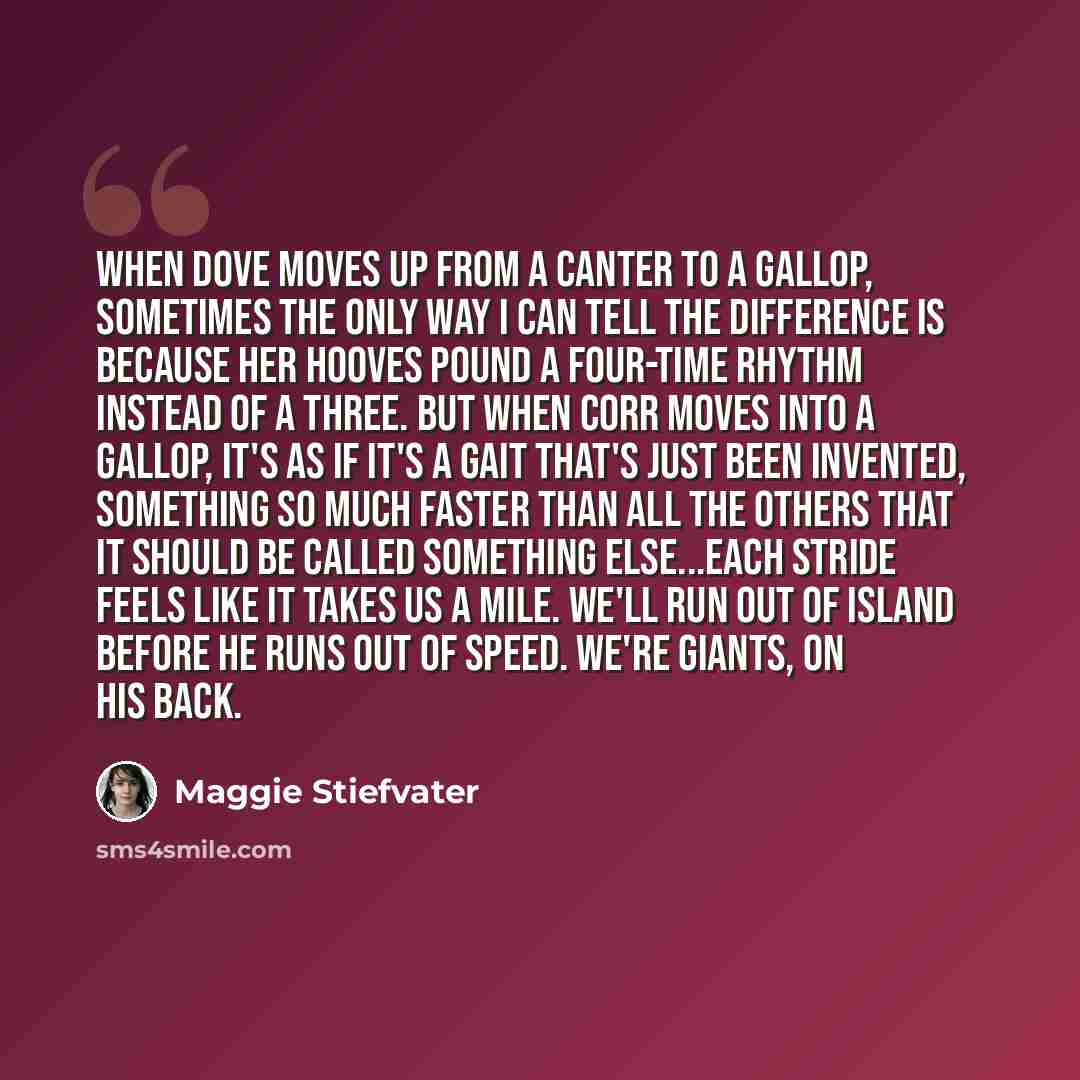 “When Dove moves up from a canter to a gallop, sometimes the only way I can tell the difference is because her hooves pound a four-time rhythm instead of a three. But when Corr moves into a gallop, it's as if it's a gait that's just been invented, something so much faster than all the others that…” quote by Maggie Stiefvater