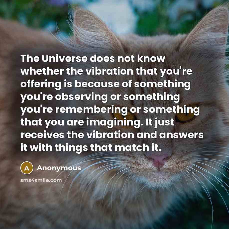 “The Universe does not know whether the vibration that you're offering is because of something you're observing or something you're remembering or something that you are imagining. It just receives the vibration and answers it with things that match it.” quote by Anonymous