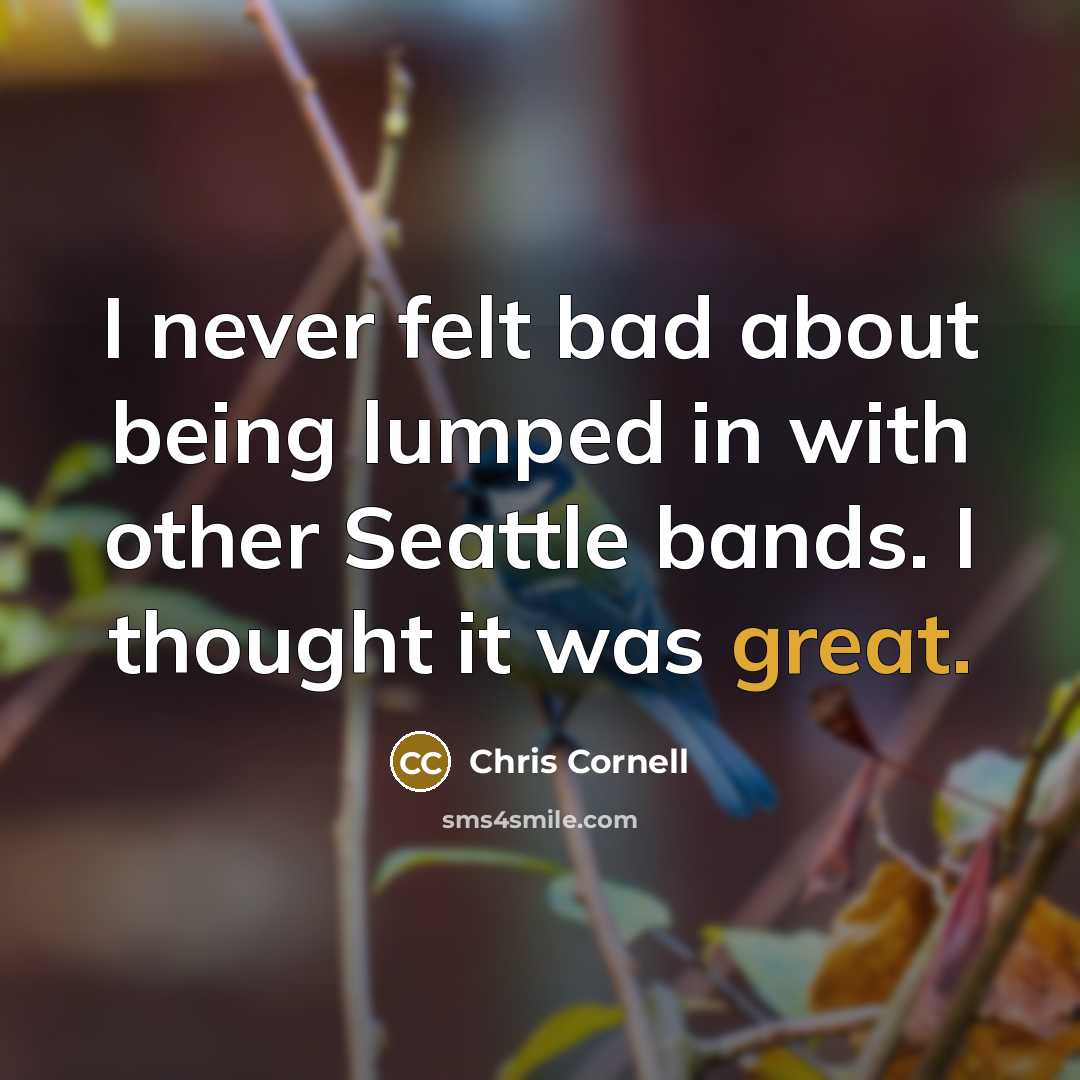 “I never felt bad about being lumped in with other Seattle bands. I thought it was great.” quote by Chris Cornell