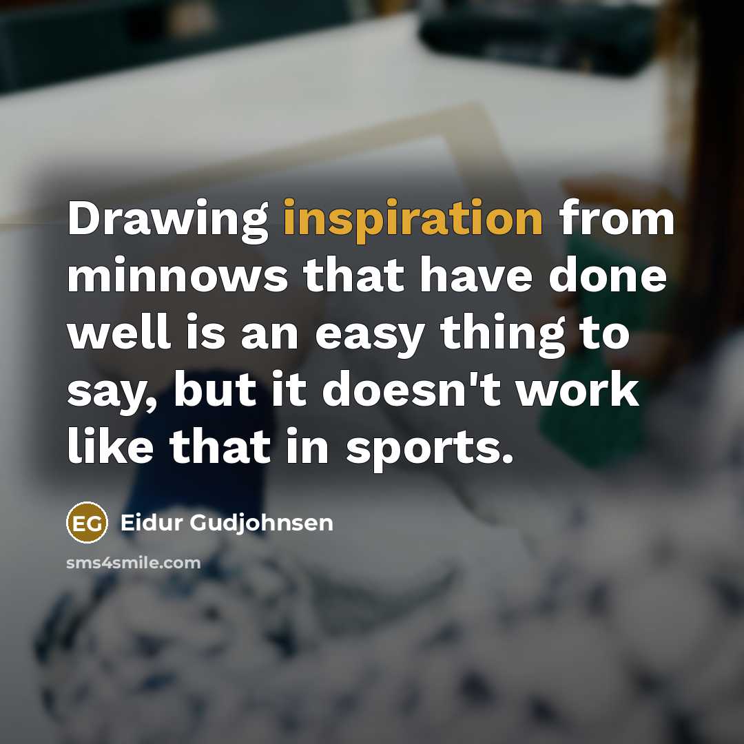“Drawing inspiration from minnows that have done well is an easy thing to say, but it doesn't work like that in sports.” quote by Eidur Gudjohnsen