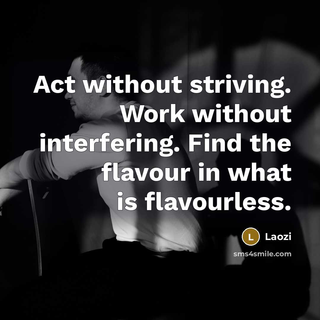 “Act without striving. Work without interfering. Find the flavour in what is flavourless.” quote by Laozi