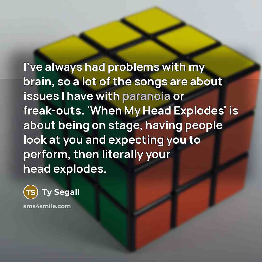 “I've always had problems with my brain, so a lot of the songs are about issues I have with paranoia or freak-outs. 'When My Head Explodes' is about being on stage, having people look at you and expecting you to perform, then literally your head explodes.” quote by Ty Segall