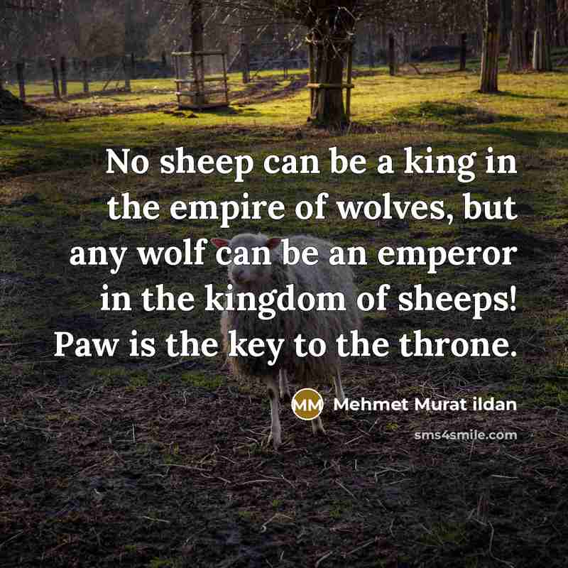 “No sheep can be a king in the empire of wolves, but any wolf can be an emperor in the kingdom of sheeps! Paw is the key to the throne.” quote by Mehmet Murat Ildan