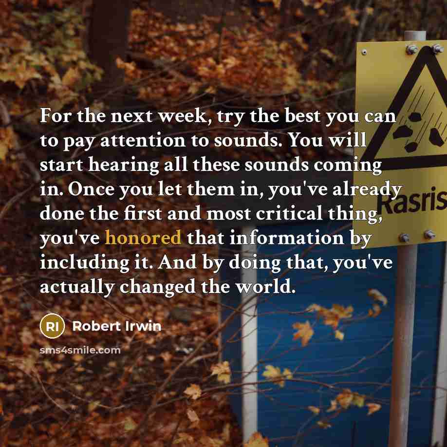 “For the next week, try the best you can to pay attention to sounds. You will start hearing all these sounds coming in. Once you let them in, you've already done the first and most critical thing, you've honored that information by including it. And by doing that, you've actually changed the world.” quote by Robert Irwin