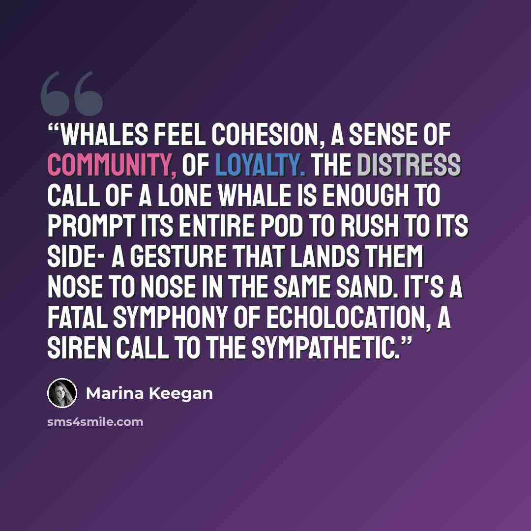 “Whales feel cohesion, a sense of community, of loyalty. The distress call of a lone whale is enough to prompt its entire pod to rush to its side- a gesture that lands them nose to nose in the same sand. It's a fatal symphony of echolocation, a siren call to the sympathetic.” quote by Marina Keegan
