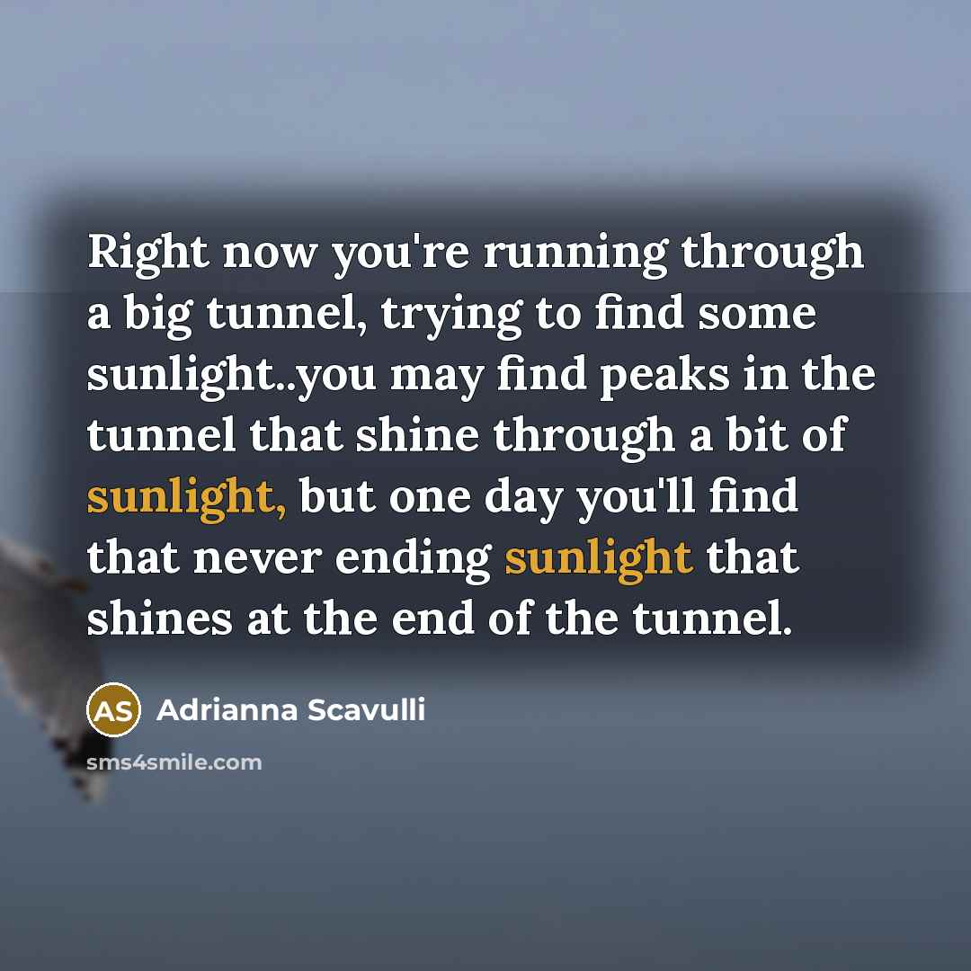 “Right now you're running through a big tunnel, trying to find some sunlight..you may find peaks in the tunnel that shine through a bit of sunlight, but one day you'll find that never ending sunlight that shines at the end of the tunnel.” quote by Adrianna Scavulli