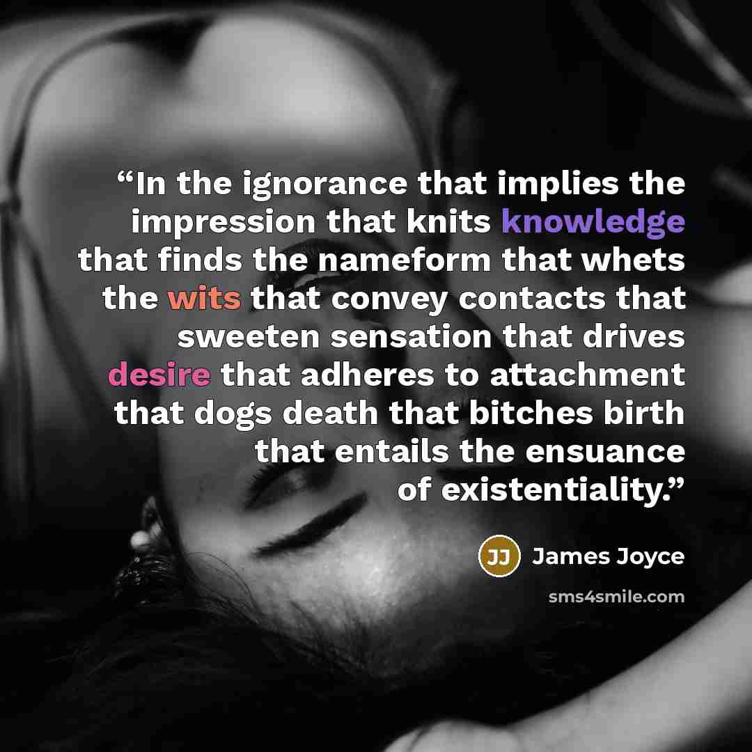 “In the ignorance that implies the impression that knits knowledge that finds the nameform that whets the wits that convey contacts that sweeten sensation that drives desire that adheres to attachment that dogs death that bitches birth that entails the ensuance of existentiality.” quote by James Joyce