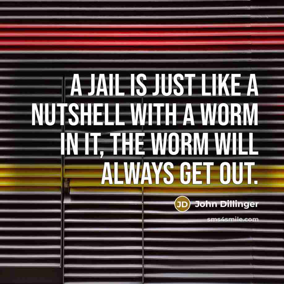 “A jail is just like a nutshell with a worm in it, the worm will always get out.” quote by John Dillinger
