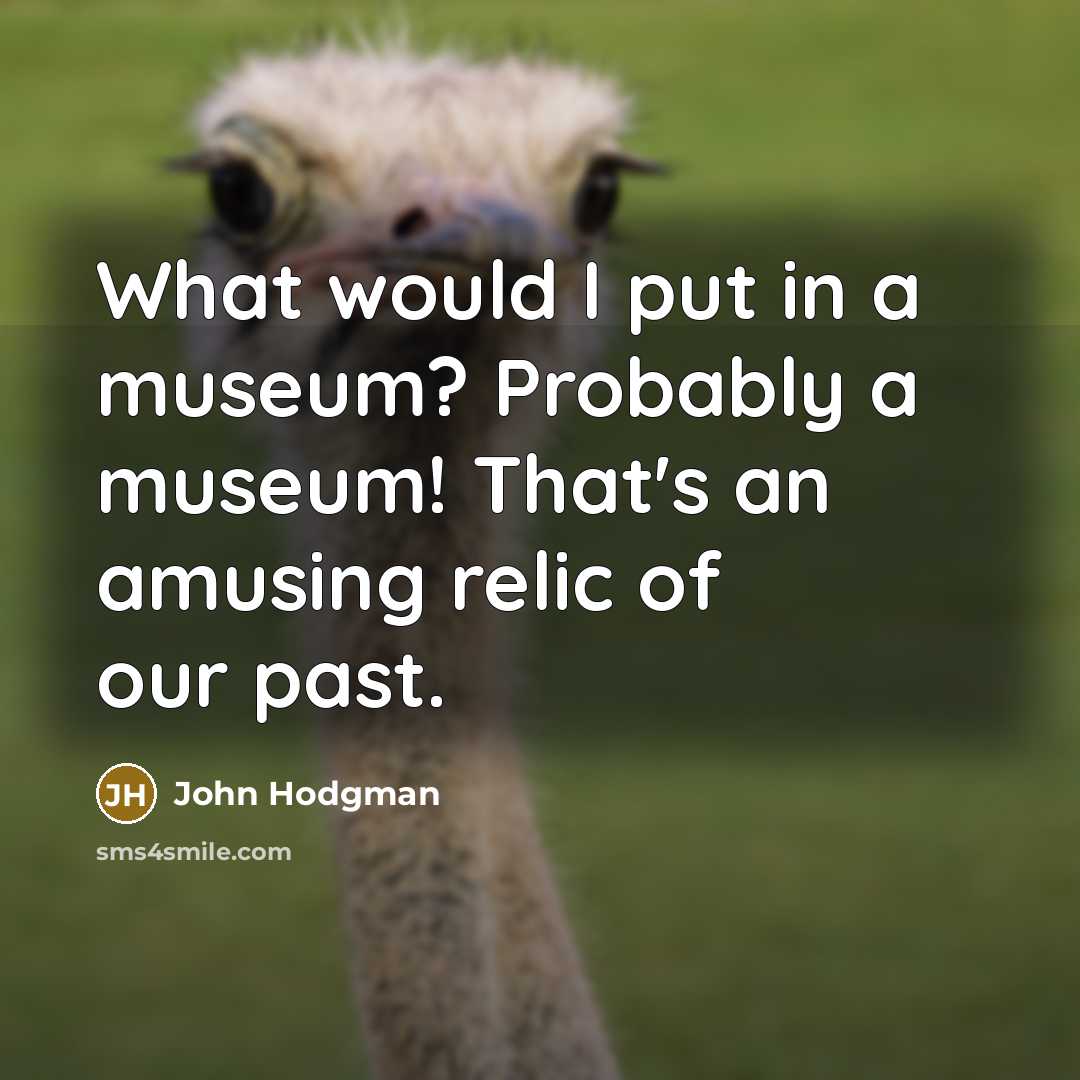 “What would I put in a museum? Probably a museum! That's an amusing relic of our past.” quote by John Hodgman