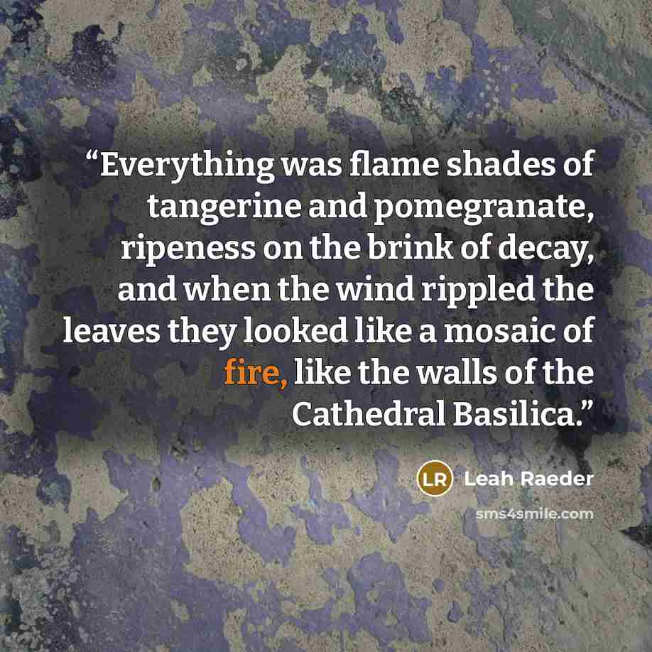 “Everything was flame shades of tangerine and pomegranate, ripeness on the brink of decay, and when the wind rippled the leaves they looked like a mosaic of fire, like the walls of the Cathedral Basilica.” quote by Leah Raeder