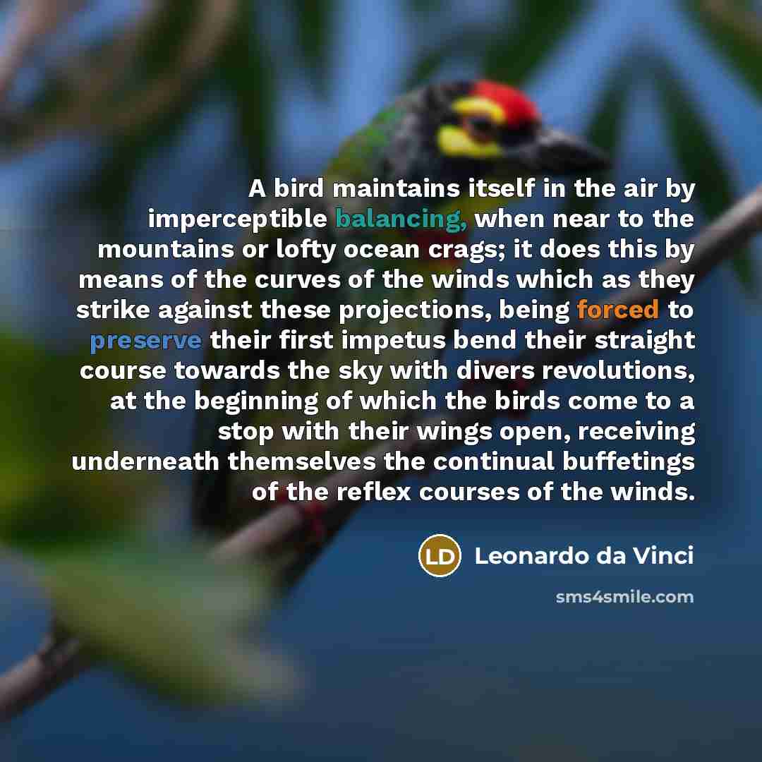 “A bird maintains itself in the air by imperceptible balancing, when near to the mountains or lofty ocean crags; it does this by means of the curves of the winds which as they strike against these projections, being forced to preserve their first impetus bend their straight course towards the sky…” quote by Leonardo da Vinci