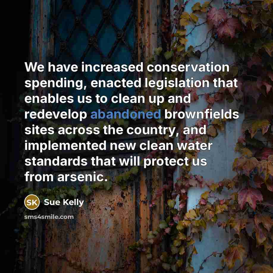 “We have increased conservation spending, enacted legislation that enables us to clean up and redevelop abandoned brownfields sites across the country, and implemented new clean water standards that will protect us from arsenic.” quote by Sue Kelly