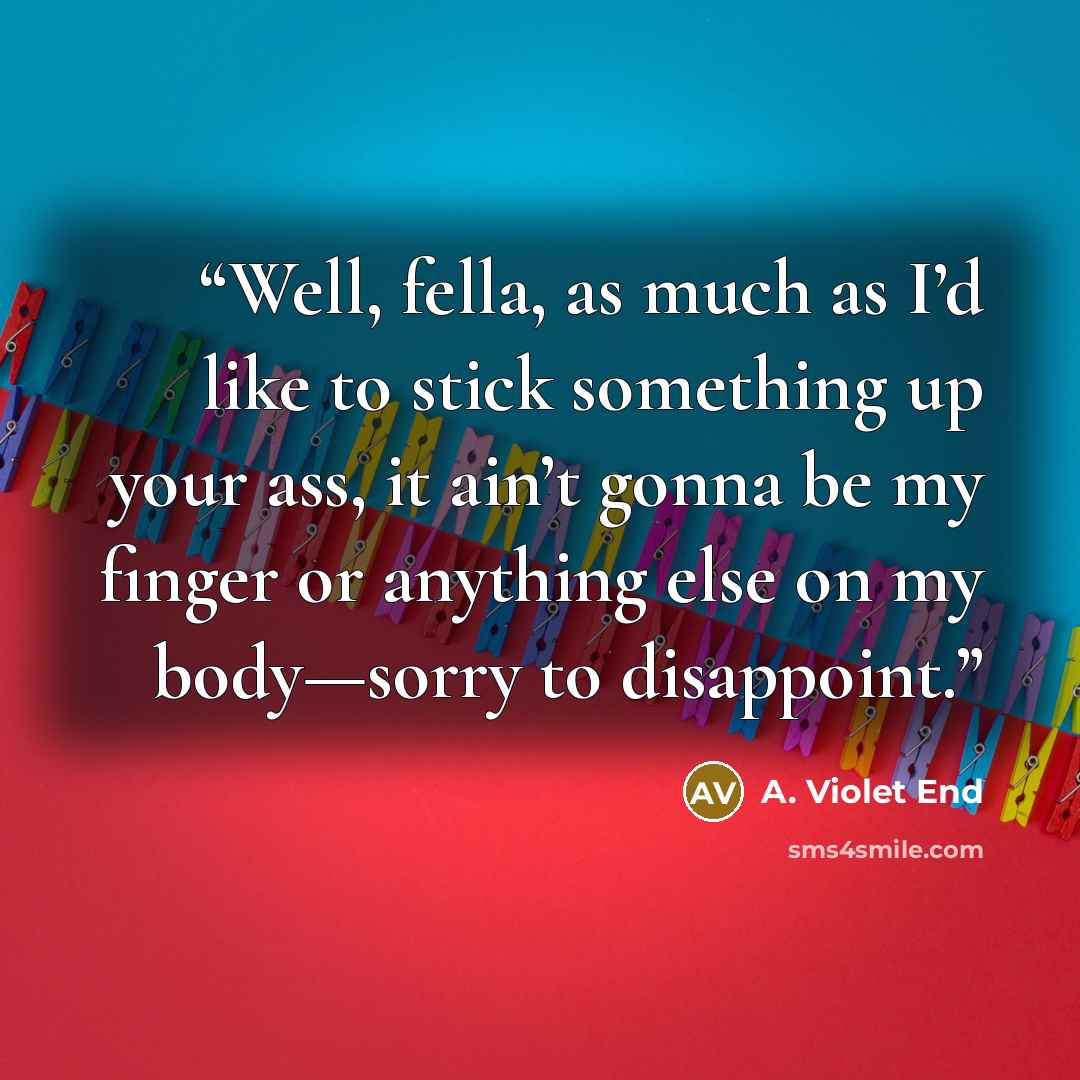 “Well, fella, as much as I’d like to stick something up your ass, it ain’t gonna be my finger or anything else on my body—sorry to disappoint.” quote by A. Violet End