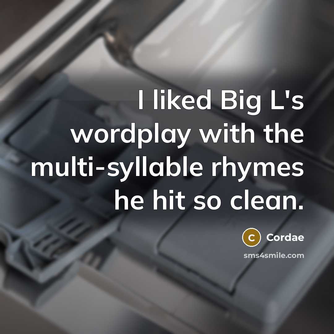 “I liked Big L's wordplay with the multi-syllable rhymes he hit so clean.” quote by Cordae