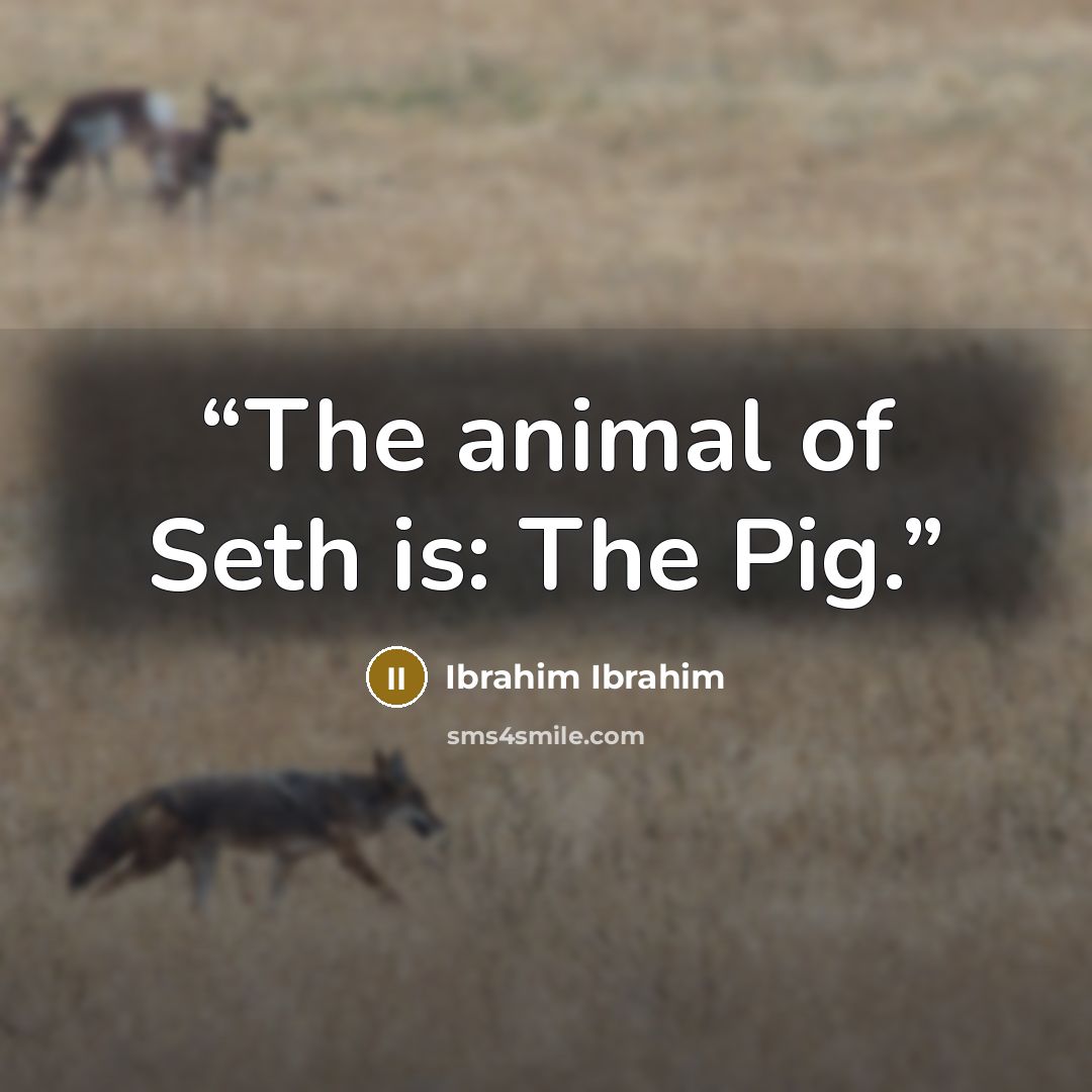 “The animal of Seth is: The Pig.” quote by Ibrahim Ibrahim