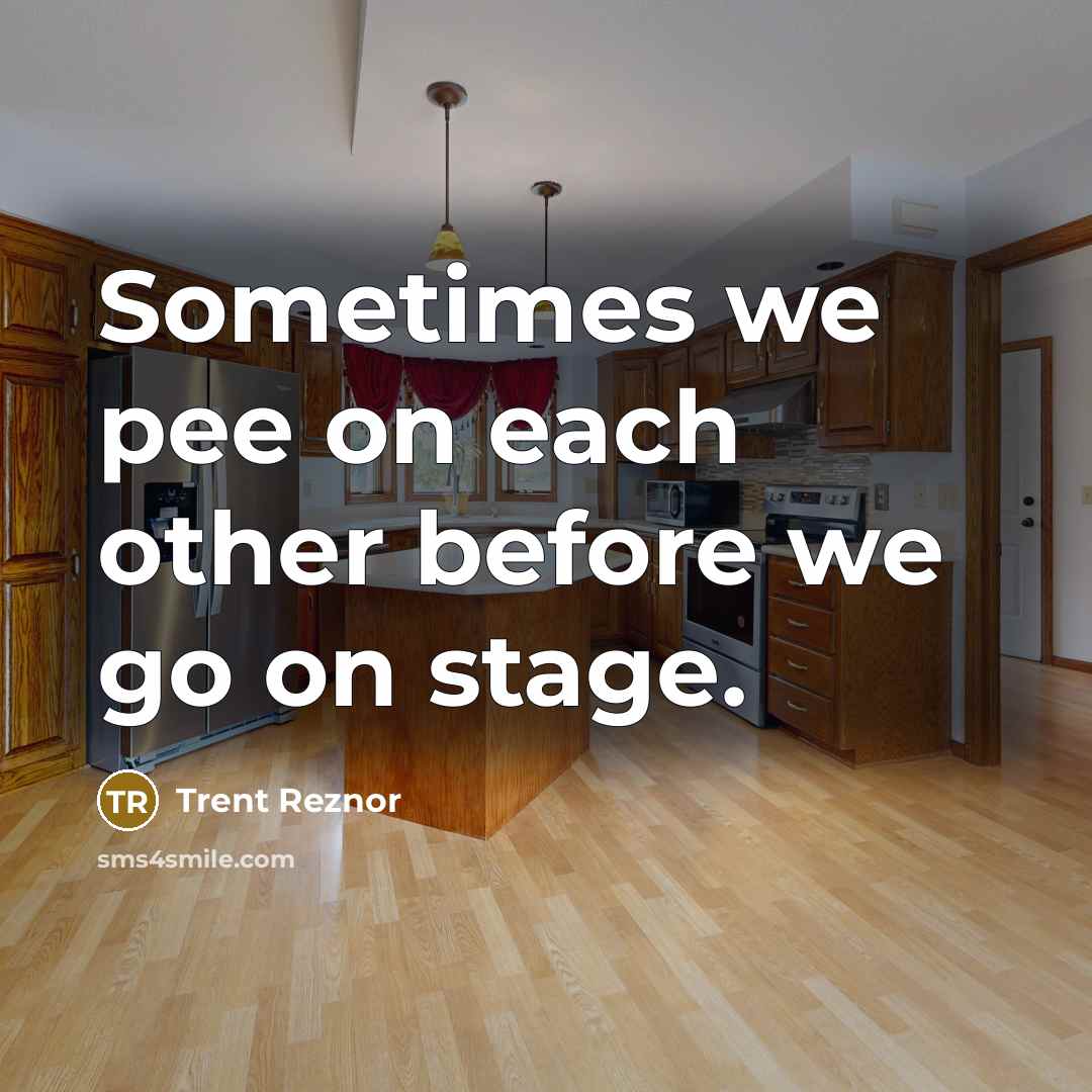 “Sometimes we pee on each other before we go on stage.” quote by Trent Reznor