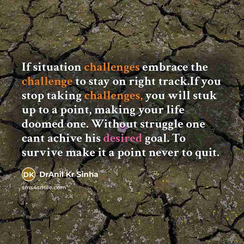“If situation challenges embrace the challenge to stay on right track.If you stop taking challenges, you will stuk up to a point, making your life doomed one. Without struggle one cant achive his desired goal. To survive make it a point never to quit.” quote by DrAnil Kr Sinha