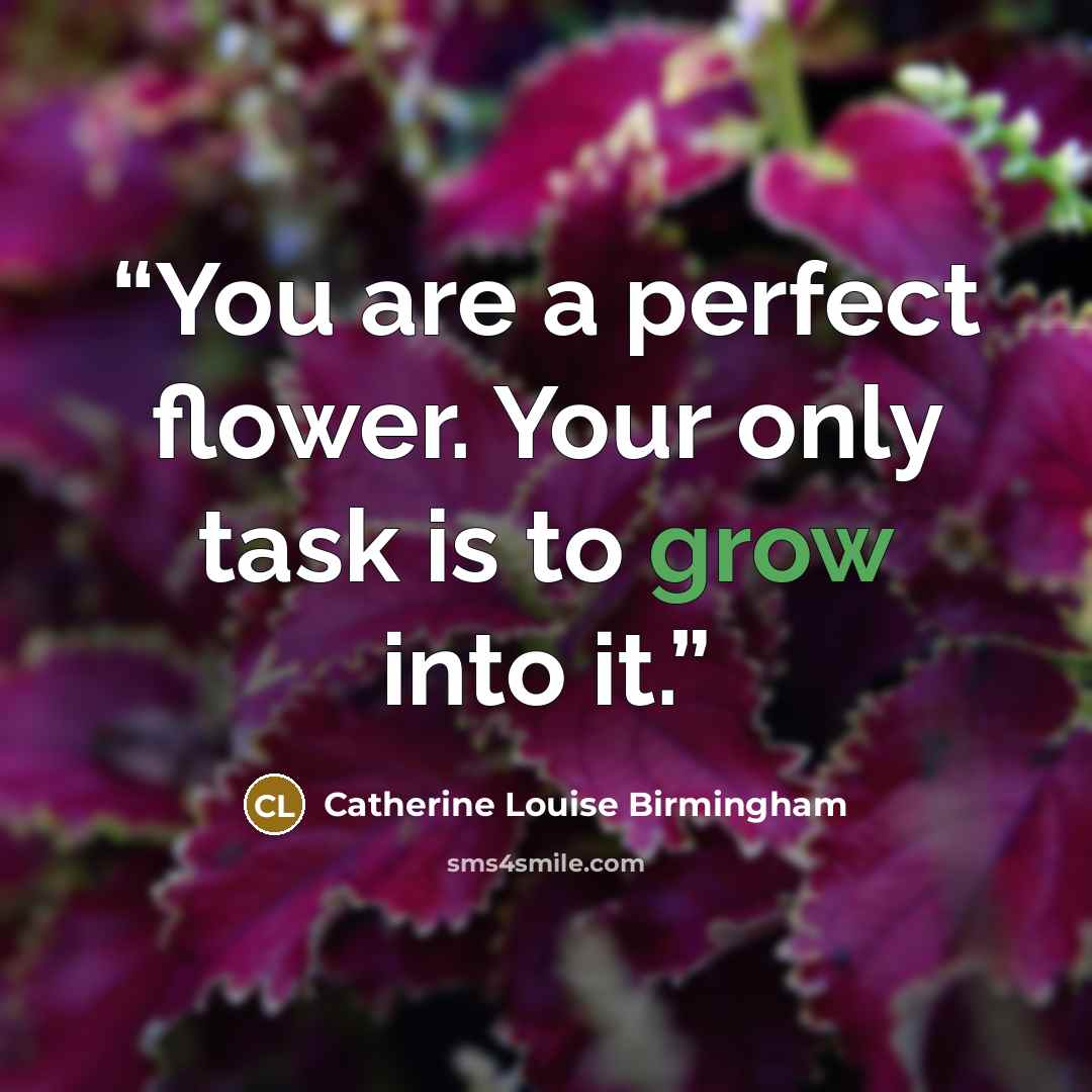 “You are a perfect flower. Your only task is to grow into it.” quote by Catherine Louise Birmingham