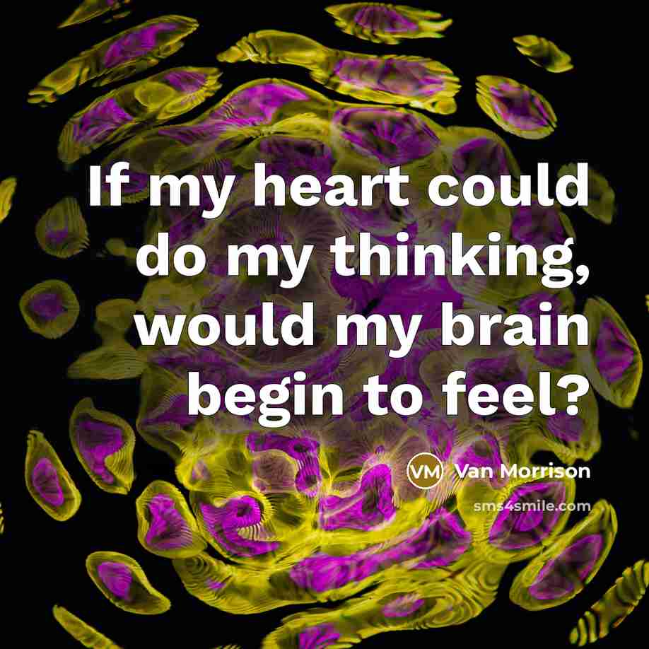“If my heart could do my thinking, would my brain begin to feel?” quote by Van Morrison