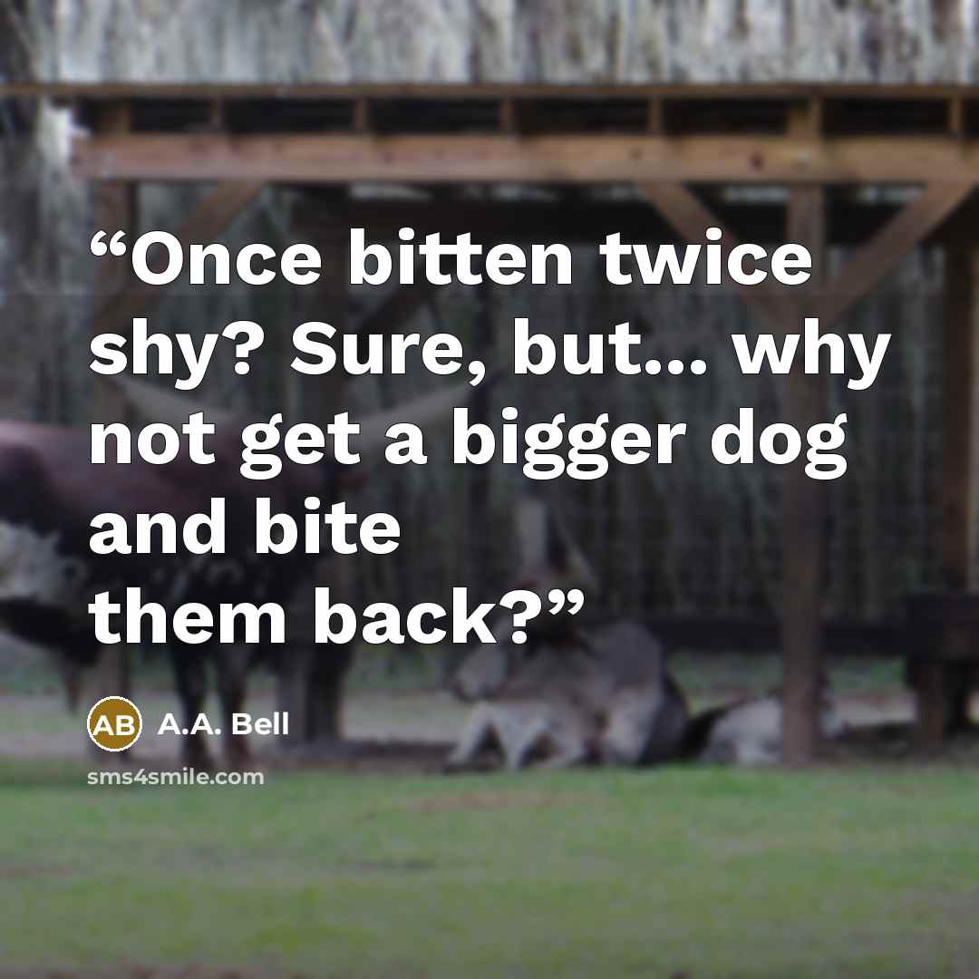 “Once bitten twice shy? Sure, but... why not get a bigger dog and bite them back?” quote by A.A. Bell