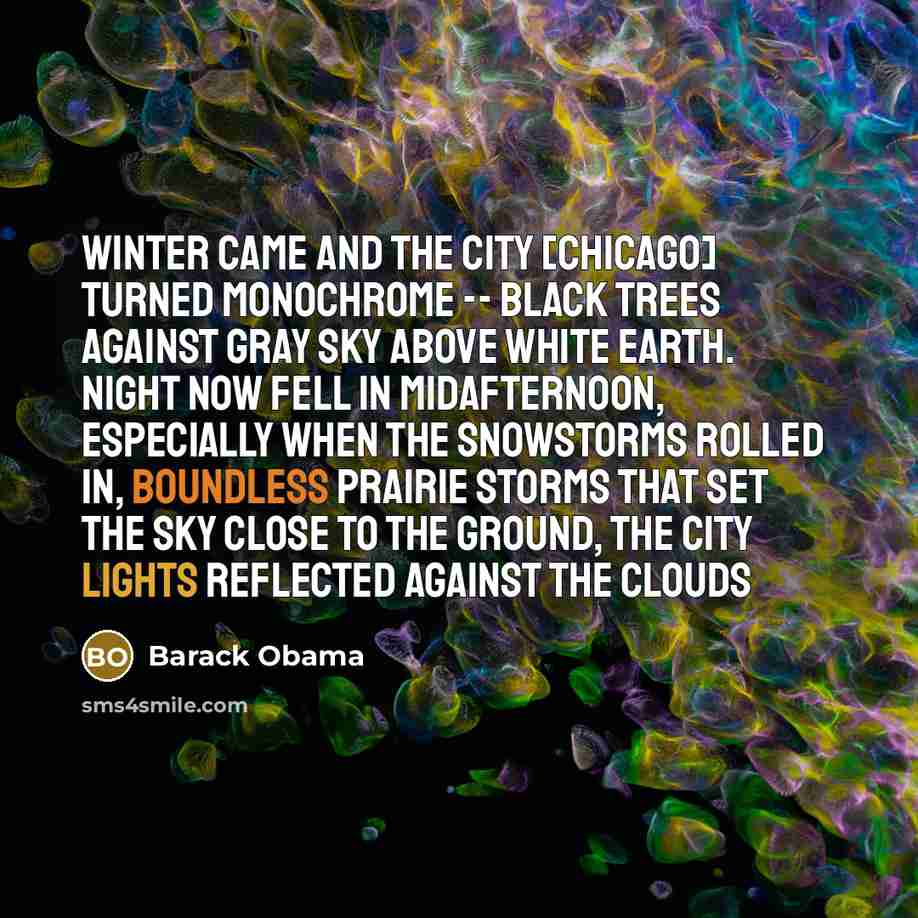 “Winter came and the city [Chicago] turned monochrome -- black trees against gray sky above white earth. Night now fell in midafternoon, especially when the snowstorms rolled in, boundless prairie storms that set the sky close to the ground, the city lights reflected against the clouds” quote by Barack Obama