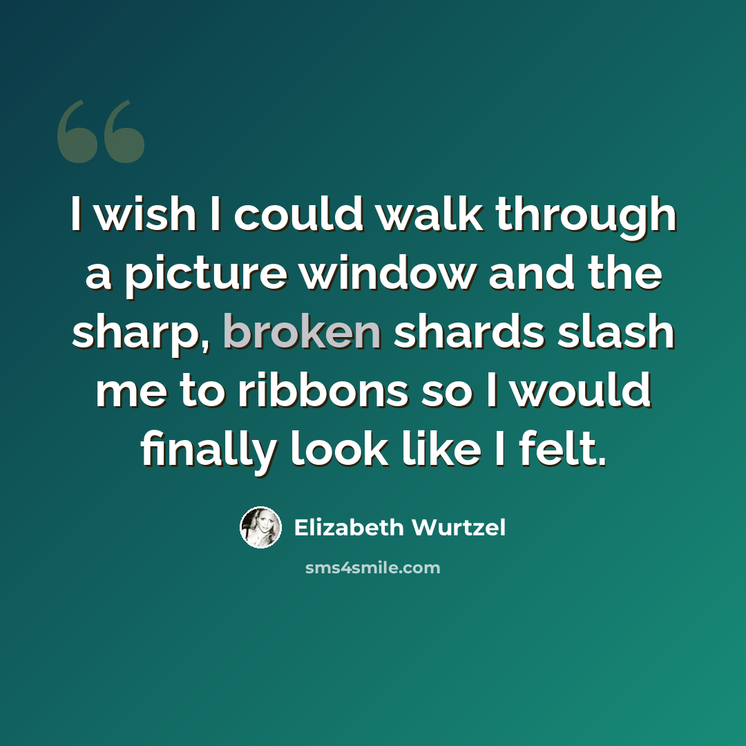 “I wish I could walk through a picture window and the sharp, broken shards slash me to ribbons so I would finally look like I felt.” quote by Elizabeth Wurtzel
