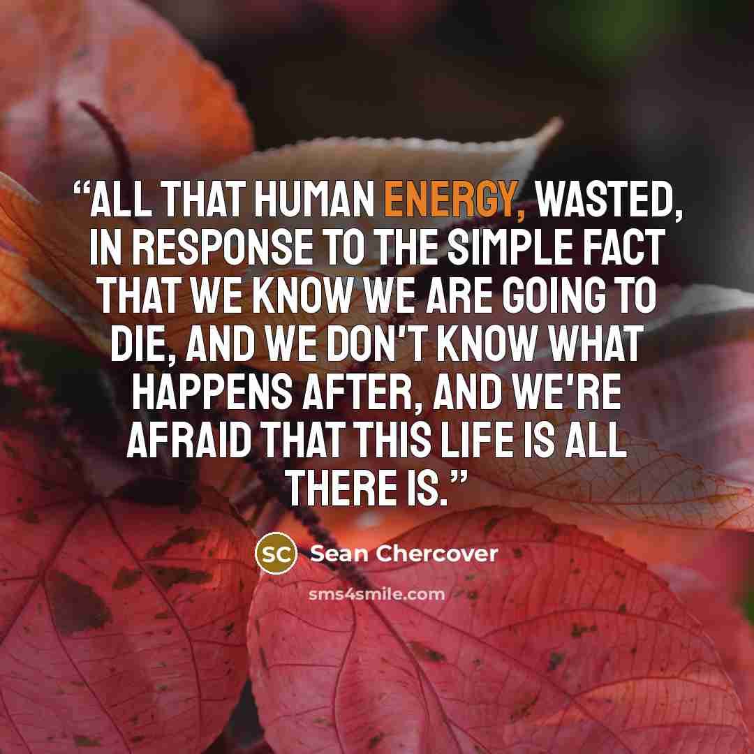 “All that human energy, wasted, in response to the simple fact that we know we are going to die, and we don't know what happens after, and we're afraid that this life is all there is.” quote by Sean Chercover