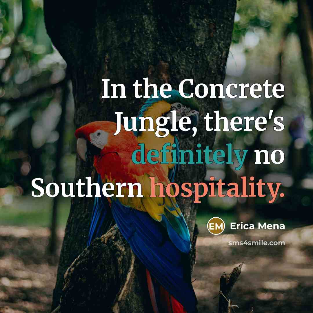 “In the Concrete Jungle, there's definitely no Southern hospitality.” quote by Erica Mena