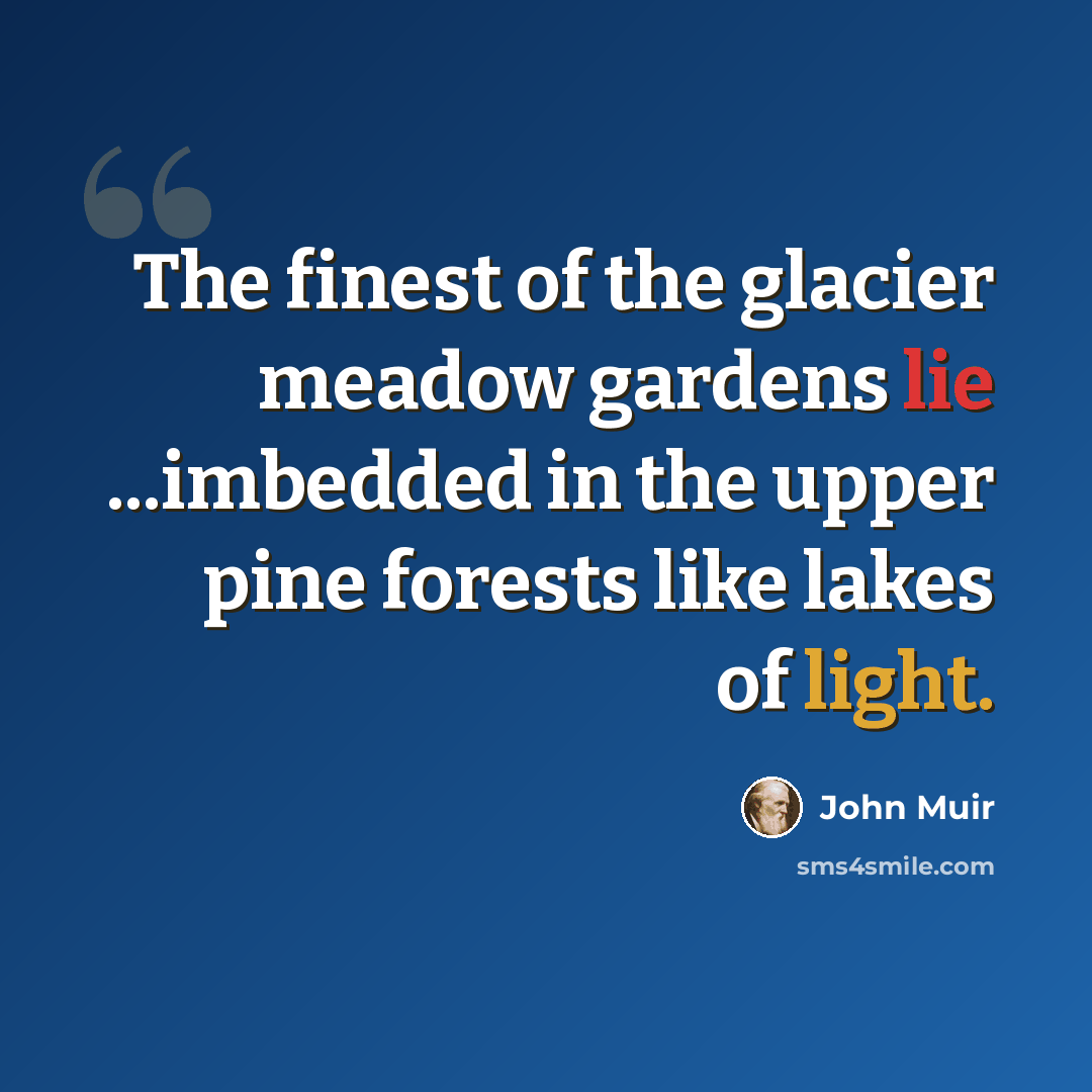 “The finest of the glacier meadow gardens lie ...imbedded in the upper pine forests like lakes of light.” quote by John Muir