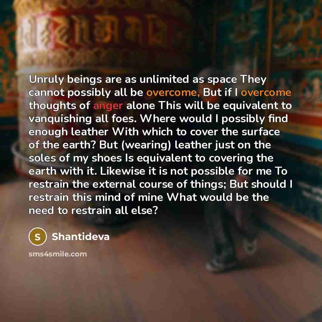 “Unruly beings are as unlimited as space They cannot possibly all be overcome, But if I overcome thoughts of anger alone This will be equivalent to vanquishing all foes. Where would I possibly find enough leather With which to cover the surface of the earth? But (wearing) leather just on the soles…” quote by Shantideva