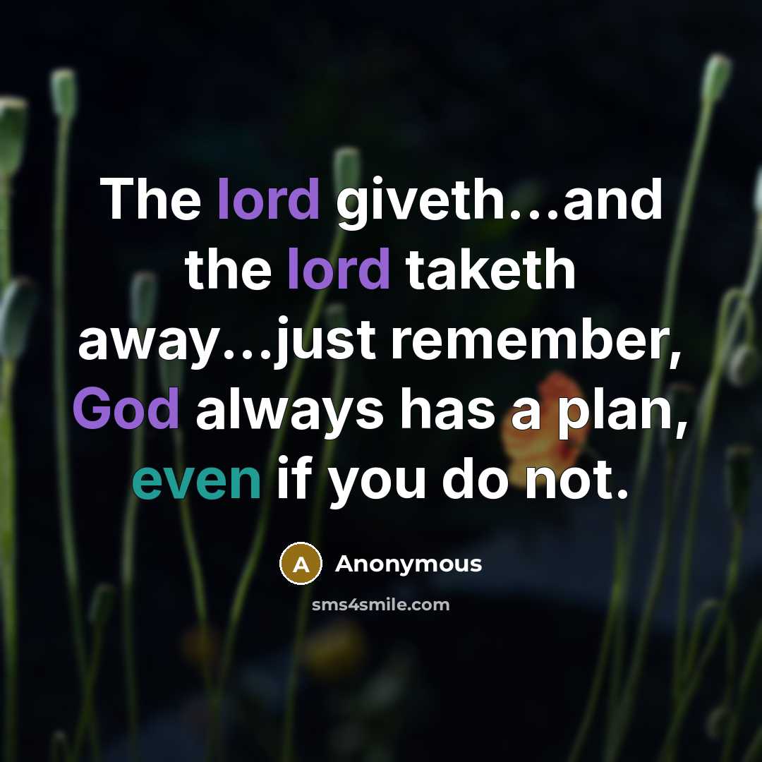 “The lord giveth...and the lord taketh away...just remember, God always has a plan, even if you do not.” quote by Anonymous