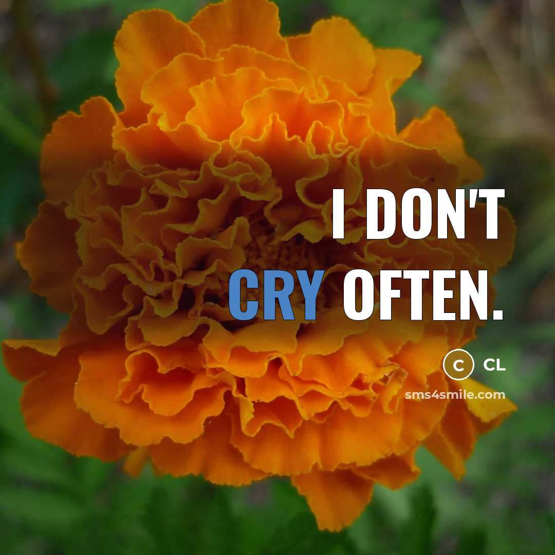 “I don't cry often.” quote by CL