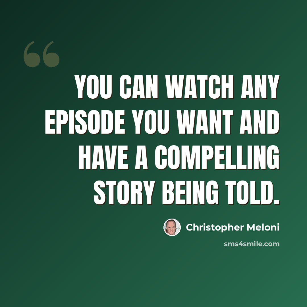 “You can watch any episode you want and have a compelling story being told.” quote by Christopher Meloni