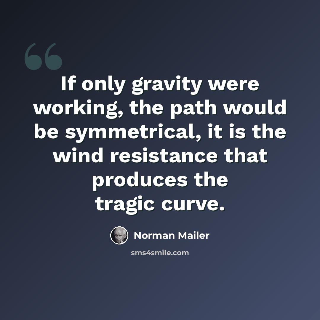 “If only gravity were working, the path would be symmetrical, it is the wind resistance that produces the tragic curve.” quote by Norman Mailer