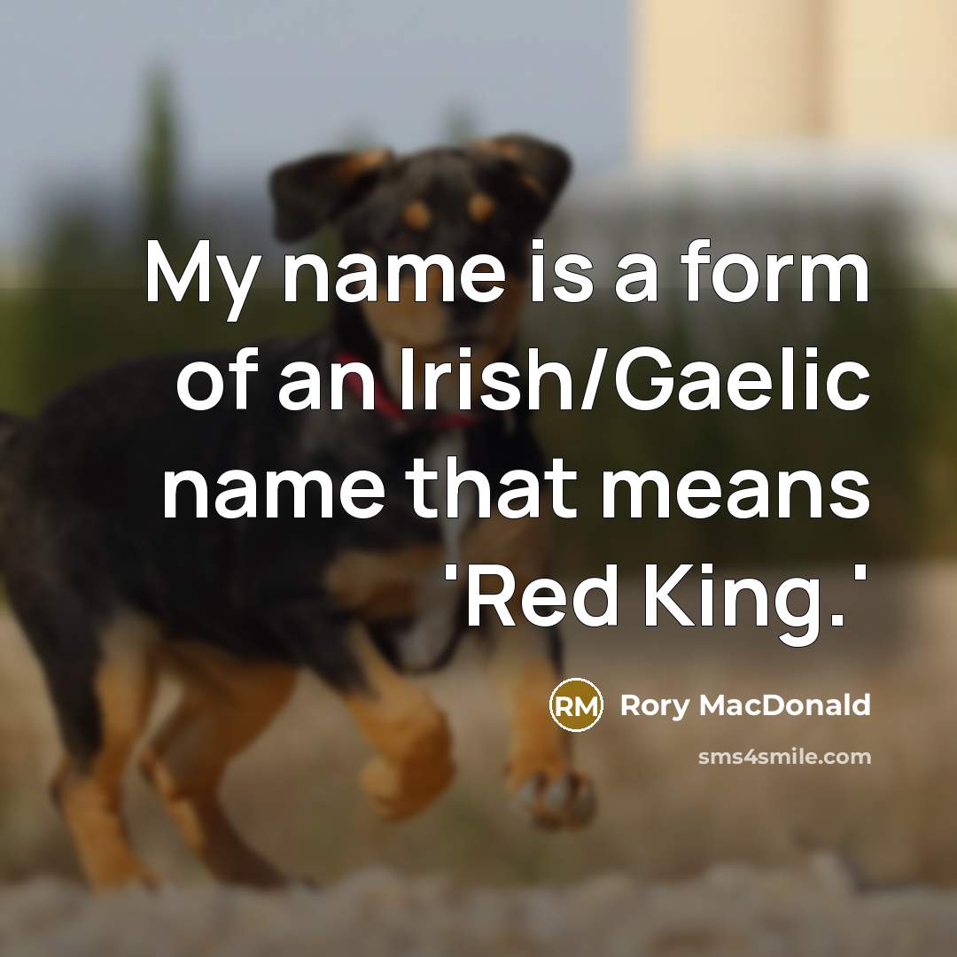 “My name is a form of an Irish/Gaelic name that means 'Red King.'” quote by Rory MacDonald