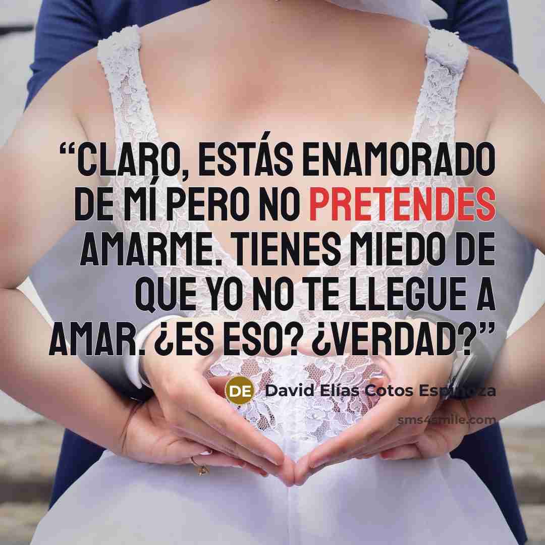 “Claro, estás enamorado de mí pero no pretendes amarme. Tienes miedo de que yo no te llegue a amar. ¿Es eso? ¿Verdad?” quote by David Elías Cotos Espinoza
