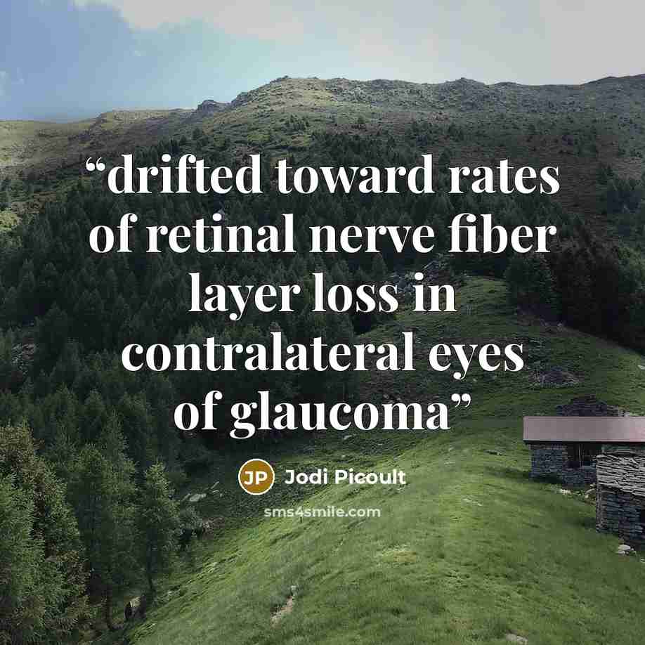 “drifted toward rates of retinal nerve fiber layer loss in contralateral eyes of glaucoma” quote by Jodi Picoult