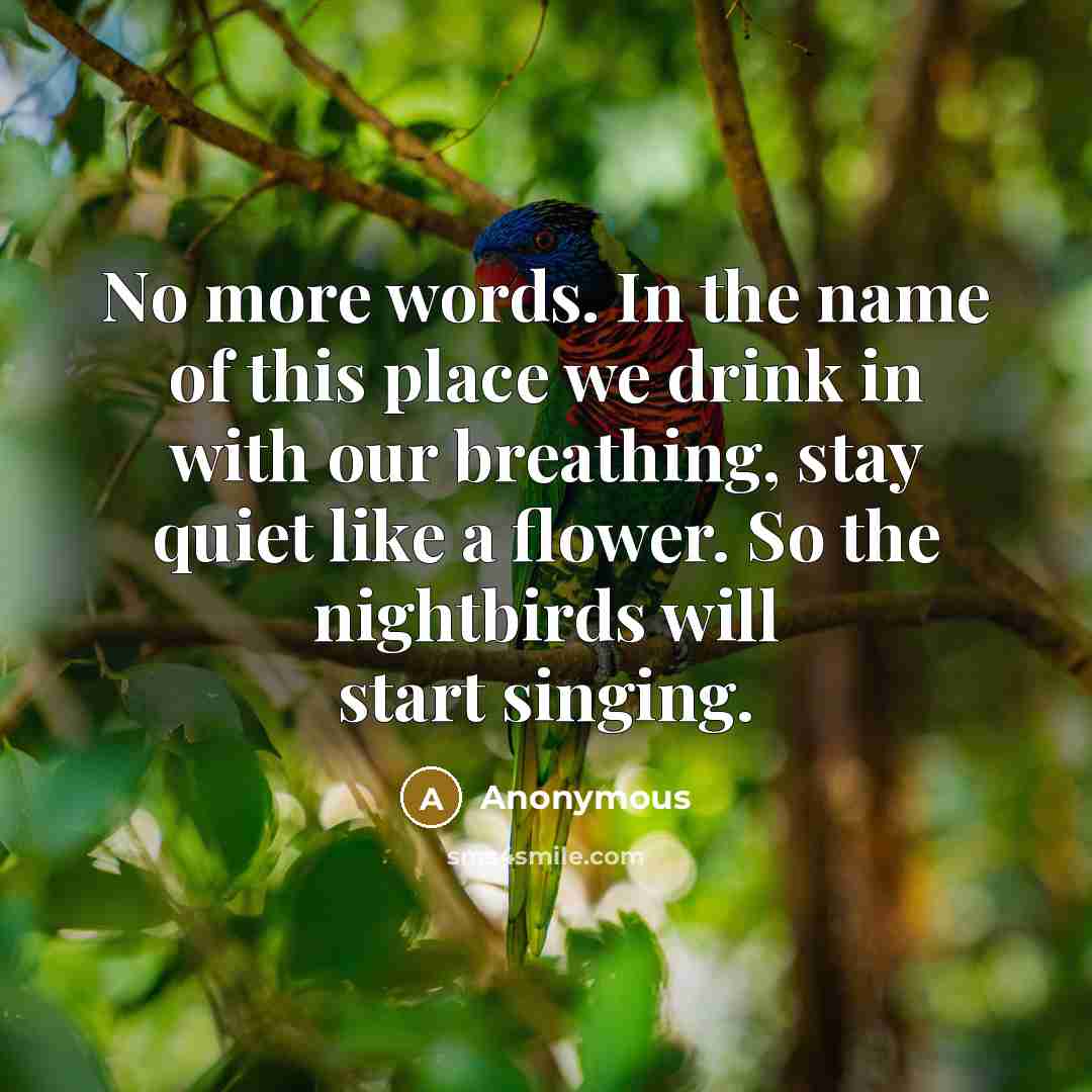“No more words. In the name of this place we drink in with our breathing, stay quiet like a flower. So the nightbirds will start singing.” quote by Anonymous