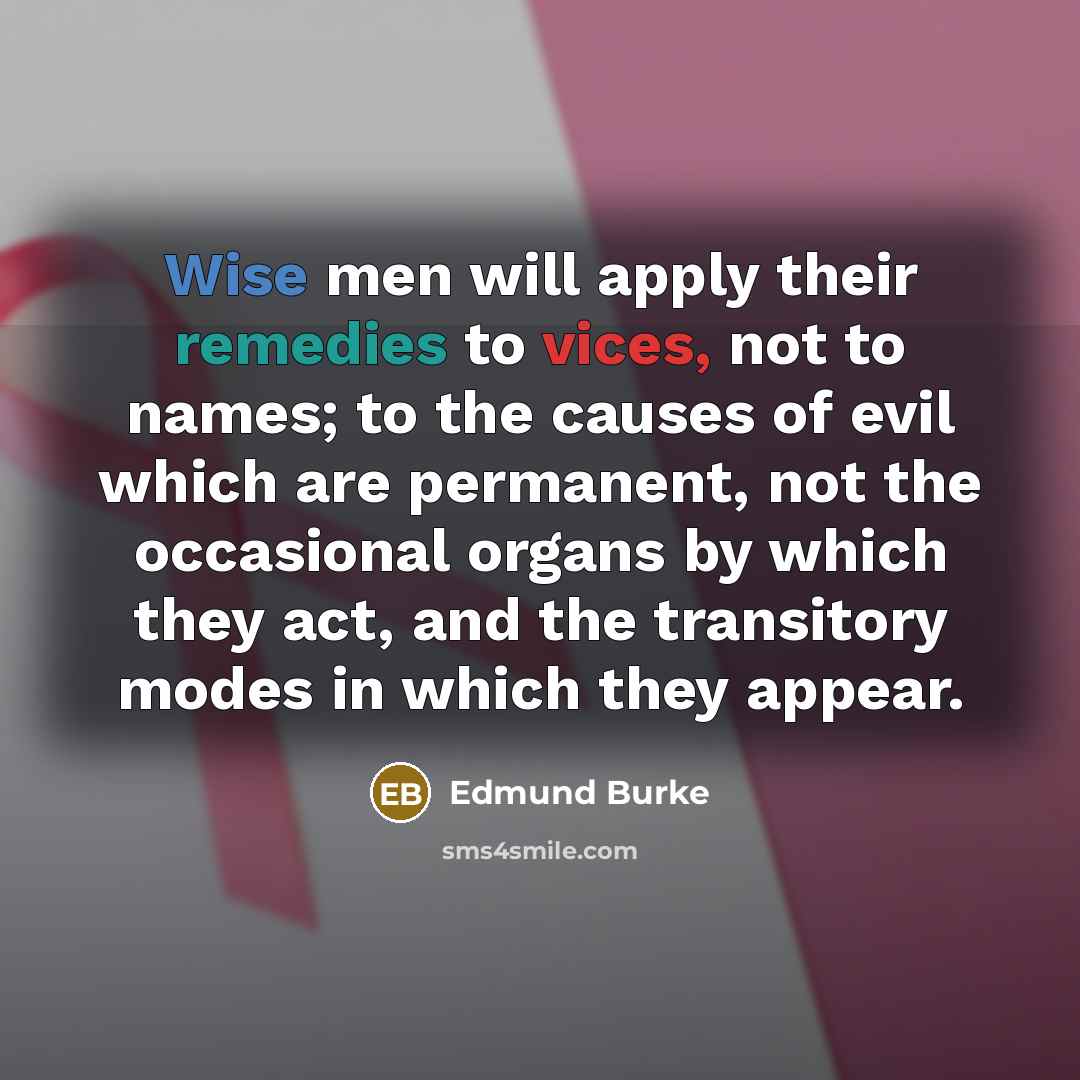 “Wise men will apply their remedies to vices, not to names; to the causes of evil which are permanent, not the occasional organs by which they act, and the transitory modes in which they appear.” quote by Edmund Burke